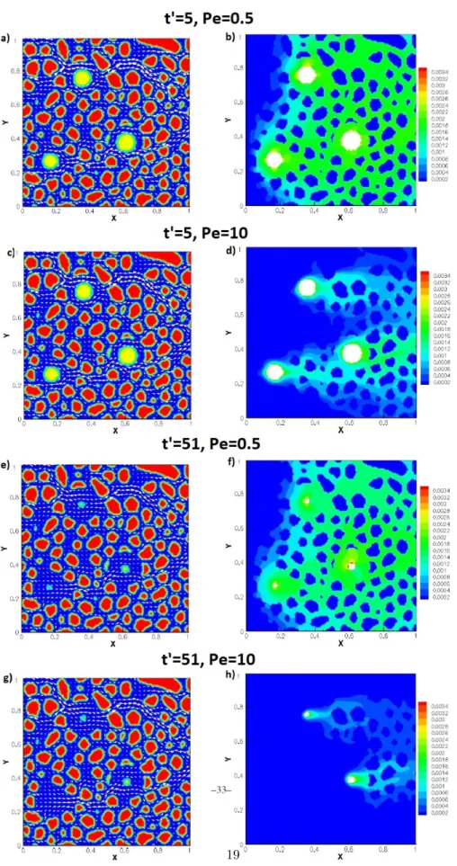 Figure 8: Evolution of the transport processes (a, c, e, g) and associated concentration fields (b, d, f, h) at two different times