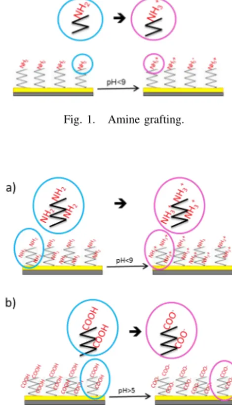 Fig. 1. Amine grafting.