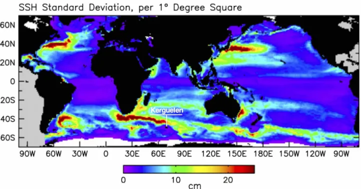 Figure 1.6: Map of the standard deviation of eddy Sea Surface Height (SSH) amplitude, from the 16-year period from October 1992 to December 2008, and for eddy lifetimes >16 weeks