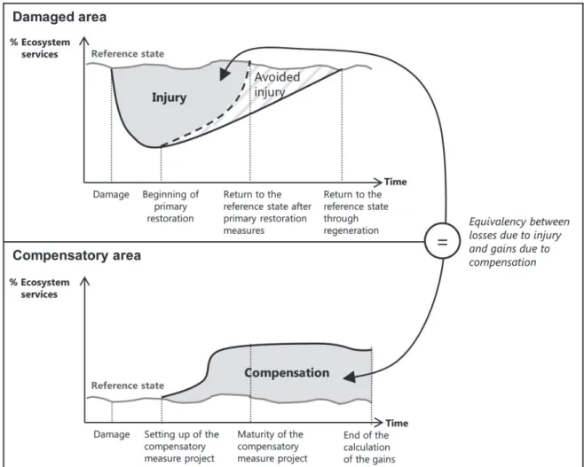 Figure i.2 - Evolution de la fourniture de services écosystémiques dans la zone impactée et dans la zone  de compensation (Vaissière et al