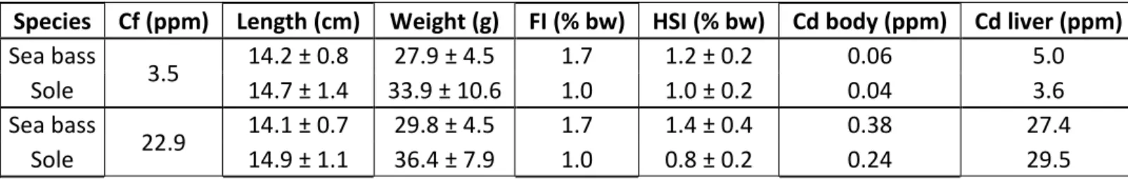 Table 4 Food input regarding to biomass. Cf: Cd concentration in food (ppm dw); Length at T0; 