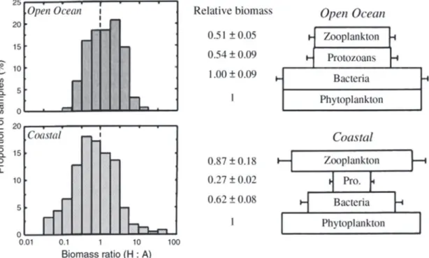 FIGURE 1. Left: Frequency distributions of samples with a given biomass ratio (heterotrophic:autotrophic) for  open-ocean communities (upper panel) and coastal communities (lower panel)