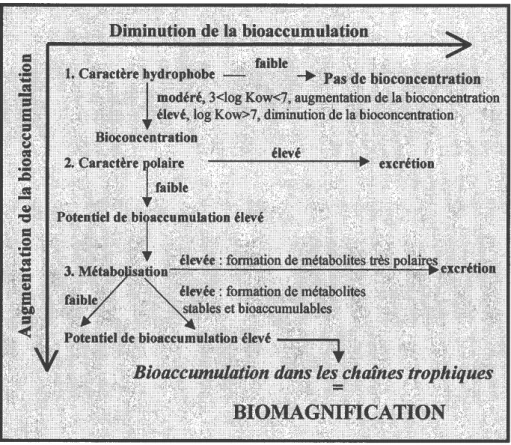 Figure 19  : Propriétés physico-chimiques des contaminants agissant sur leur  bioaccumulation (Norstrom et Letcher, 1996)