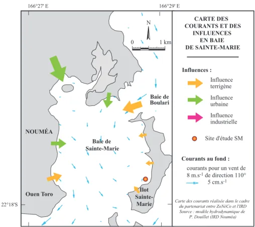 Figure 13 : Carte des courants de fond générés en baie de Sainte-Marie par un alizé (110°) de 8 m.s -1  (Douillet, 2001)