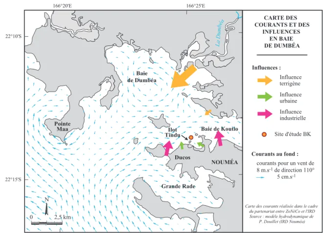 Figure 15 : Carte des courants de fond générés en baie de Dumbéa par un alizé (110°) de 8 m.s -1  (Douillet, 2001)