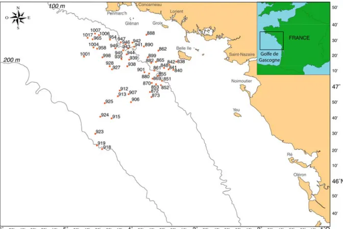 Figure 2.2 1 : Localisation des stations d’échantillonnage sur le plateau continental Nord Gascogne.
