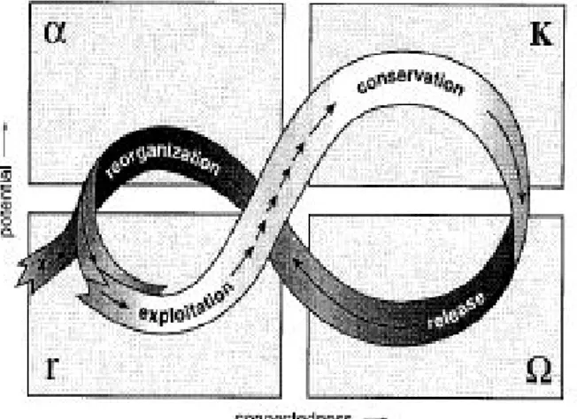 Figure  9.  A  stylized  representation  of  the  four  ecosystem  functions (r) and the flow of events among them