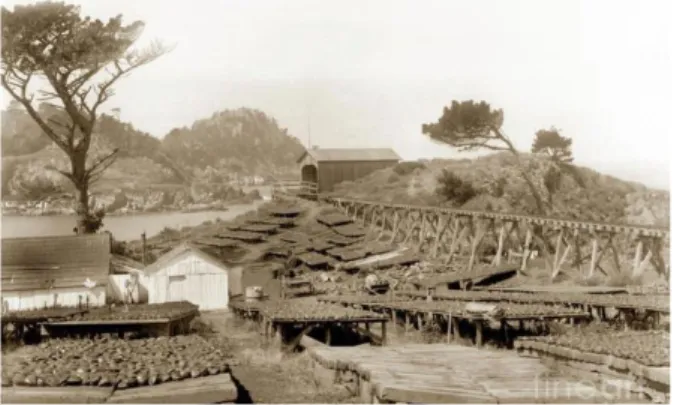 Figure 13 Abalone Drying Racks On Coal Chute Point   Sept 19, 1905 © Pat Hathaway Archives.