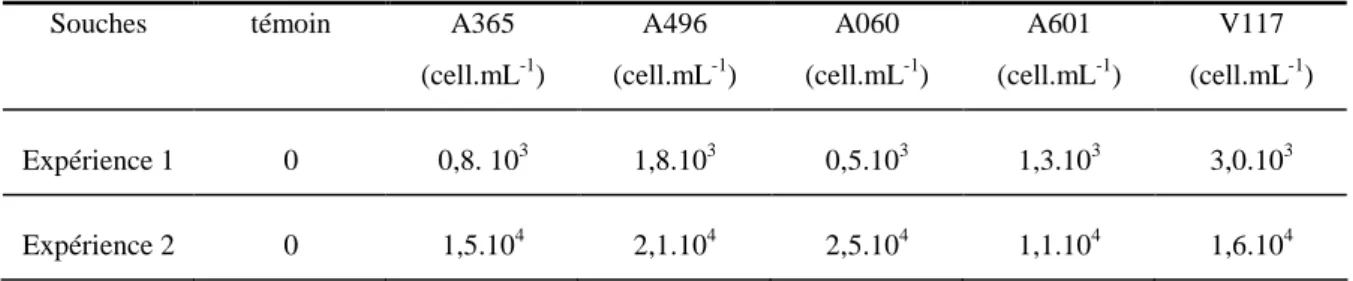 Tableau 10. Valeurs en cellules.mL -1  des quantités bactériennes utilisées pour l'infection des  deux expériences d’élevages axéniques
