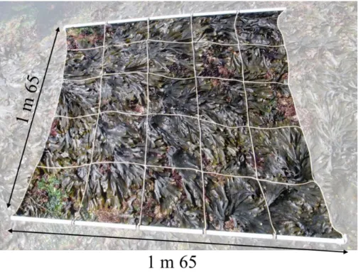 Figure 18 : S c e  ad ill e m bile  ili e c mme  ni  de ba e de l chan ill nnage a  c  de  cette thèse