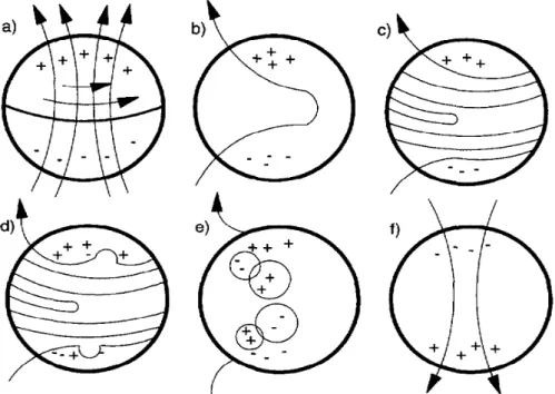 Figure 1.2. Représentation shématique du yle magnétique solaire tirée de Paterno (1998).