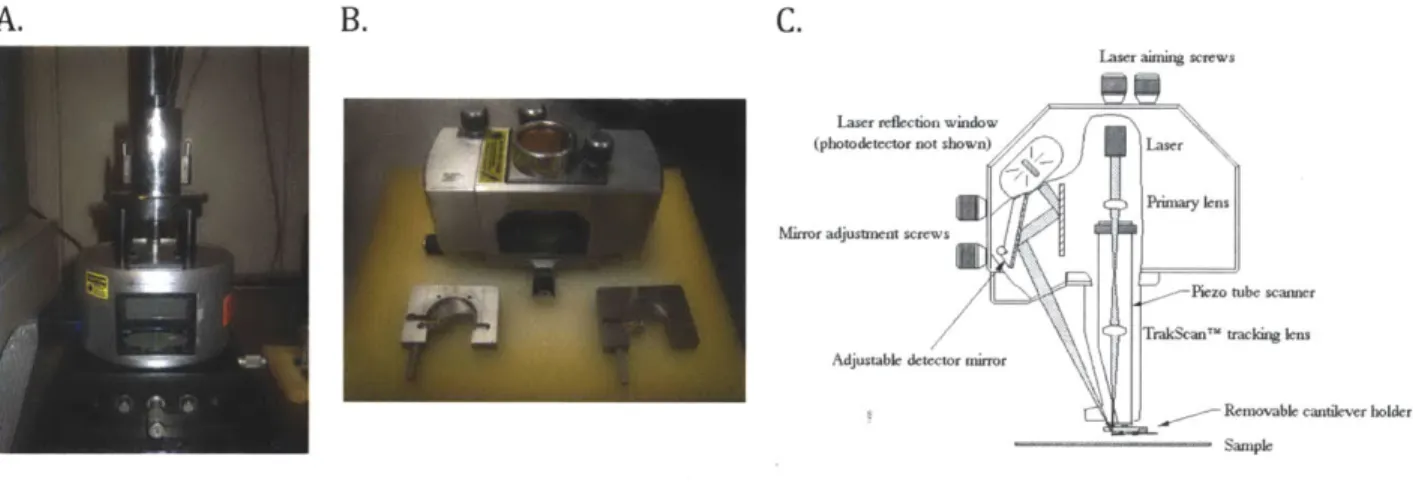 Figure  3.2  NanoScope  1I1a Multimode  AFM.  (A)  Piezo  connected to  the equipment  controller