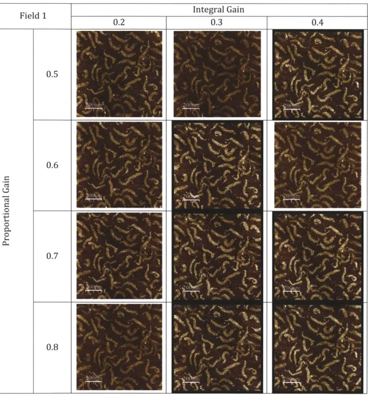 Figure  3.6  Integral  and  Proportional Gains  During AFM  Imaging.  Images  of  the  same  sample section  were  captured  while  varying  the  integral  and  proportional  gains  to  find  the  optimal combination  of these  parameters  when  dealing  w