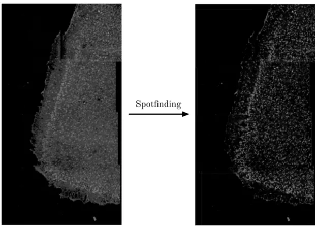 Figure 2-2: An example of finding and isolating spots from a stitched composite image.