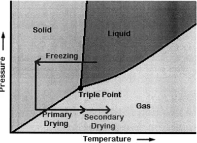 Figure  6:  Phase  change  diagram  for  water  showing  freezing,  primary  drying, and secondary drying  steps.