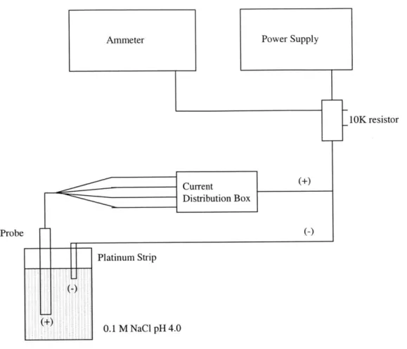 Figure  2.3  Schematic  of chloridation  setup.  A  redox  reaction  plates the  silver  electrodes with chloride ions.