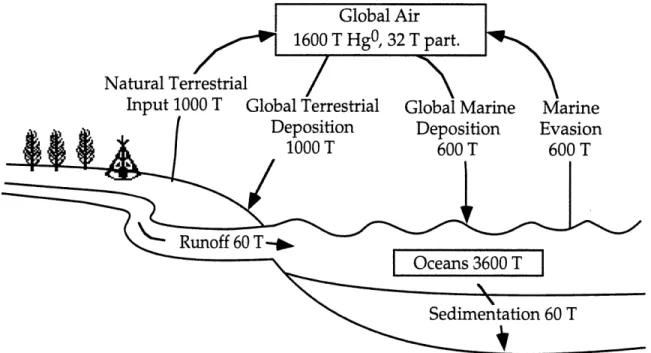 Figure 4.  The pre-industrial  global atmospheric mercury cycle and  budget.
