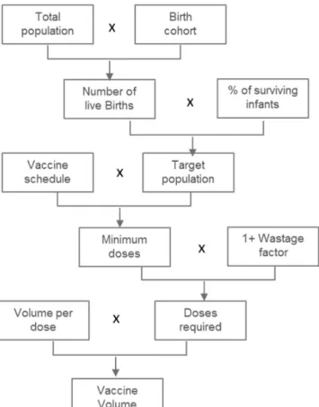 Figure 8: Calculation from population to vaccine doses. 