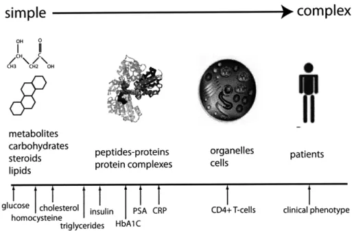 Figure  1-1:  A  selection  of current  disease  biomarkers  of varying complexity.  Biomark- Biomark-ers range  from  low molecular  weight  molecules  (metabolites)  to larger  molecules  such as  proteins