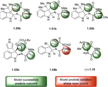 Figure  1.5.  Relation  of complex diketopiperazine  oxidation  outcomes  predicted  by  model  to  experimental  outcomes.