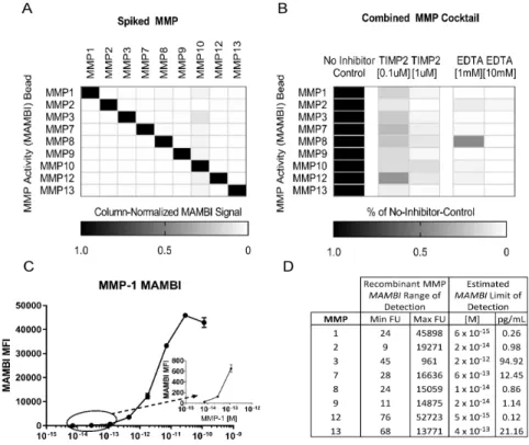 Figure 2: MAMBI process validation: a) An optimized cocktail of MAMBI beads shows high selectivity for detecting single  recombinant MMPs in solution, b) A cocktail of recombinant MMPs +/- EDTA or TIMP-2 prior to incubation with ABP c)  Dose-response curve