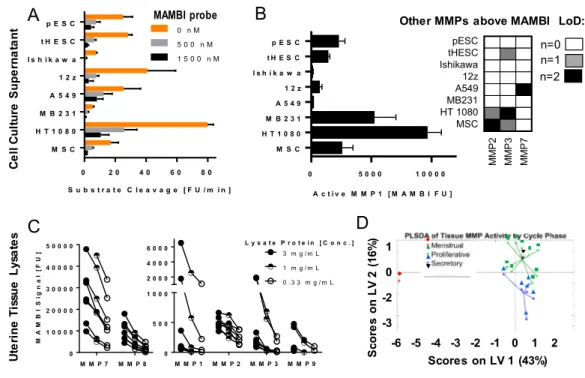 Figure 3: Detection of Endogenous MMP Activity with MAMBI: a) Fluorogenic substrate cleavage of conditioned cell culture  medium +/- ABP inhibition (error is SD of n=2 biological replicates), b) Catalogue of active MMPs in conditioned cell culture  medium 