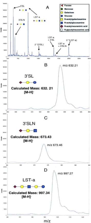 Figure  2.3  O-glycan  Standard  MS  Spectra  on  the  Voyager  MALDI-TOF.  A.  Full  O-glycan  standard spectra