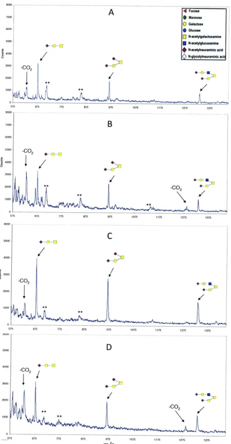Figure  2.8.  MALDI  MS  Spectra  for Fetuin  O-glycans  Treated  with  Different  p-  Elimination  Reagent Combinations