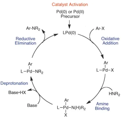 Figure 3.  Proposed catalytic cycle for Pd-catalyzed C-N  cross-coupling reactions.