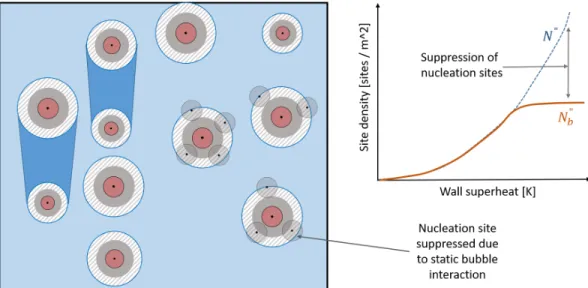 Figure 4.5: Illustration of static interaction on the heater surface resulting in suppression of nucleation sites
