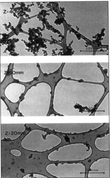 Figure 9 - Micrographs of soot  particles captured on  carbon grids, from  an ethene  diffusion  flame.