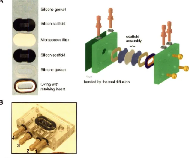 Figure 2-4.  A)  Schematic  of the arrangement  of the  different components  that constitute microreactor