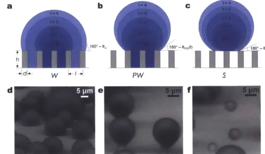 Figure 3.  Condensing  droplet morphologies.  Time-lapse  schematics  of a (a)  Wenzel  (W)  droplet where  liquid fills the structures  beneath  the droplet;  (b) partially wetting (PW)  droplet  where the liquid partially  fills the structure