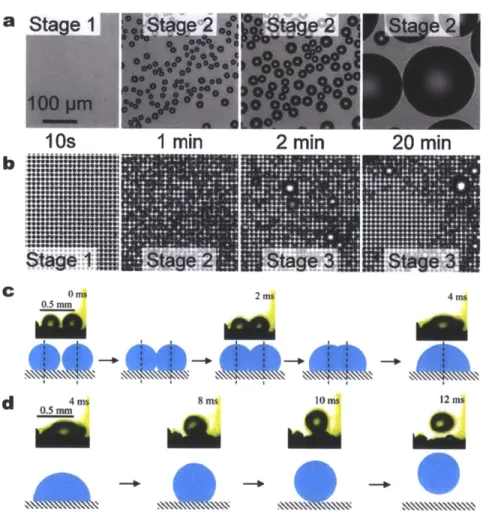 Figure 6.  Droplet departure modes  - gravitational shedding  versus  jumping. Dropwise  condensation  on a horizontally  oriented  (a) smooth hydrophobic  surface  and (b) structured  two-tier  superhydrophobic  surface (with