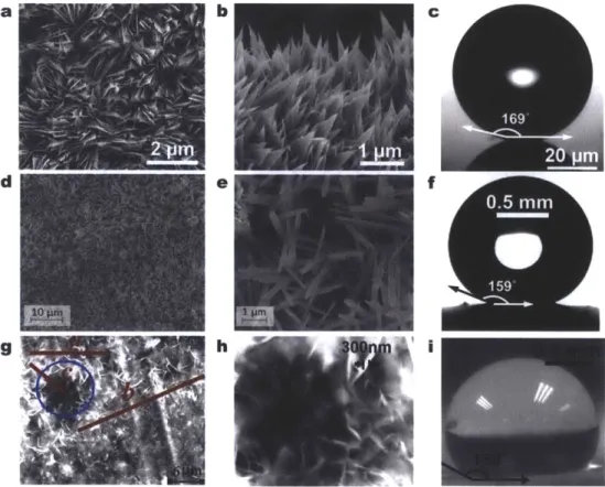 Figure 7.  Fabricated scalable  nanostructured surfaces.  FESEM  images  of a CuO surface  with  (a) top  view,  (b) side  view,  and (c)  micro-goniometer  contact  angle measurement  image (Oa  =  169.2 ± 2.60)