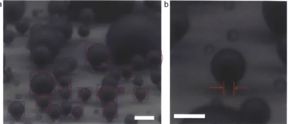 Figure  11.  Extracting contact  angles  and pinned  neck size  from ESEM  images.  (a) High-resolution  ESEM image  of condensed  droplets  on the surface  shown  in Figure  9a and  12a