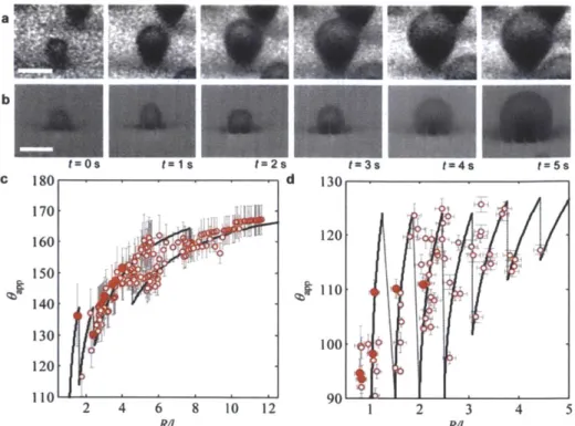 Figure  12.  Evolution  of  individual droplet morphology.  Time-lapse  images  of individual condensed  droplets  on structured  surfaces  showing  the progression  of(a)  partial  wetting Cassie (E*  =  0.57  +  0.05)  and  (b)  Wenzel (E*  1.22  +  0.06