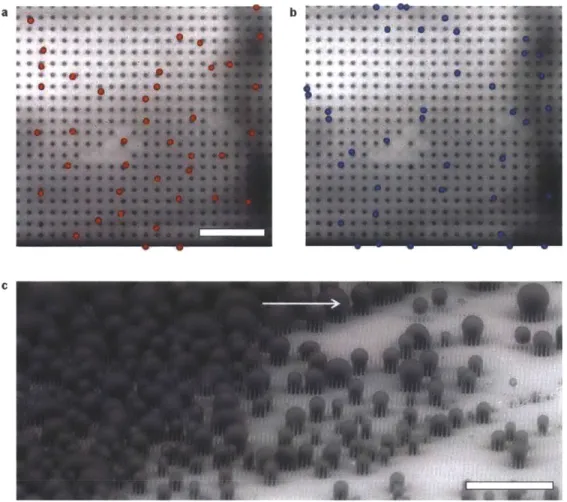 Figure 16.  Nucleation  behavior  on  SAM.  Nucleation  sites  (indicated  by dots)  observed  using OM at  a  fixed location  on a  structured  silicon  surface  for two different  CVD silane  films, (a)  Cl  &amp; (b) C2