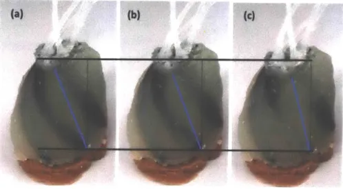 Figure  10.  Helical  Twisting  Motion  The  first  iteration  actuated  at  (a)  0,  (b)  5,  and  (c)  10 psi