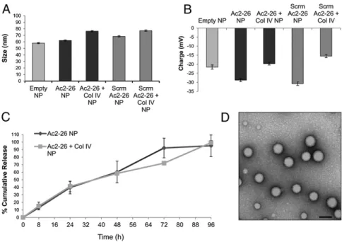 Fig. 2. Characterization of polymeric NPs. (A) Dynamic light-scattering measurements of empty, nontargeted (Ac2-26 NP), targeted (Ac2-26 + Col IV NP), scrambled peptide (Scrm Ac2-26 NP), and targeted scrambled peptide (Scrm Ac2-26 + Col IV NP) NPs were mea