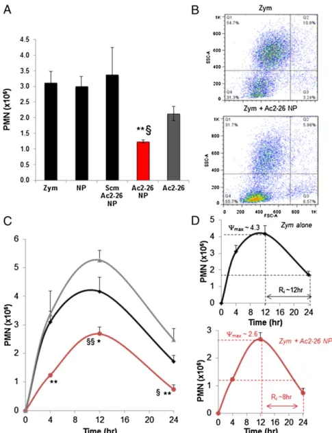 Fig. 3. Ac2-26 NPs are more potent than Ac2-26 and are proresolving in vivo. Zymosan (100 μ g per mouse) was administered i.p., followed by i.v