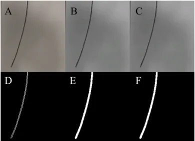Figure 6.2: Series of images used to extract curvature from video of the deflecting trimorph