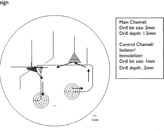 Figure  4 One  of the early  chip designs.  The  red  paths  indicate the order that zebrafish  navigates through  the chip