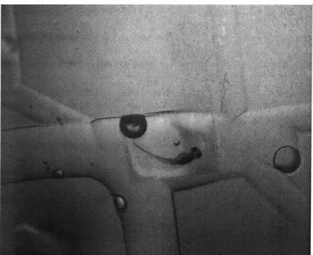 Figure  6 Zebrafish  immobilized imperfectly in the  chamber. Notice the depression  layer not quite pressed  on  the  right side near the fish's  head.