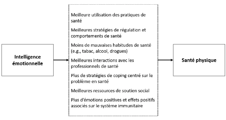Figure 9. Médiateurs potentiels de la relation entre l’intelligence émotionnelle et la santé physique  (Zeidner et al., 2012) 
