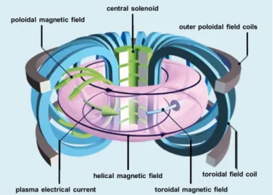 Figure 0-1: A tokamak is shown with annotated magnetic fields. The poloidal direction (the flat green arrow for magnetic field) goes up and around the body of the torus, while the toroidal direction (the round blue arrow for magnetic field) is around the l