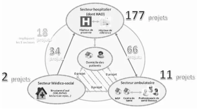 Figure 2 – Répartition des projets de télémédecine par secteur d’activité au 31 décembre  2012