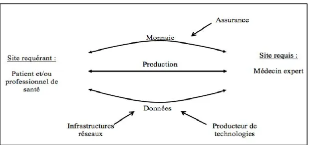 Figure 5 – L’organisation du système productif de la télémédecine 