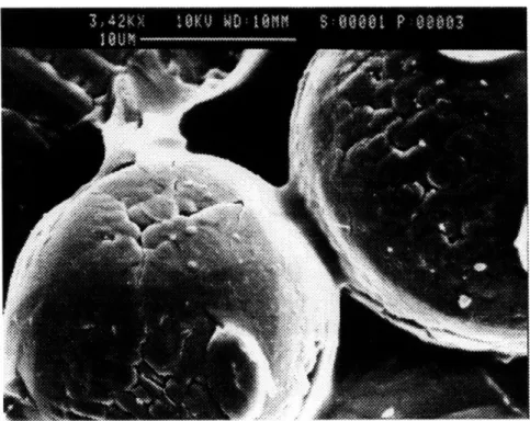 Figure 2.4:  Micrograph  of Necks  in Crosslinked  Rhoplex  Test  bars