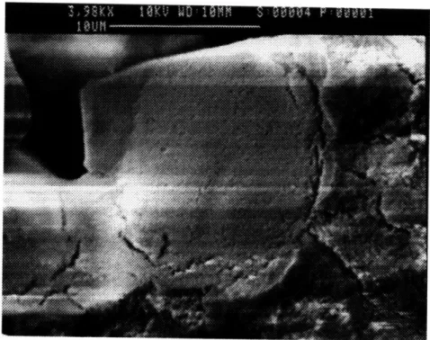 Figure  2.11:  Fracture  surface  of a  neck  in  a  sample  printed  with  silica  binder